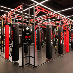 UFC-(1).jpg