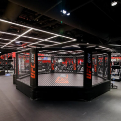 UFC-(3).jpg